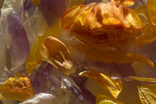 Wellness pobyt na 4 dny / 3 nocis polopenzí